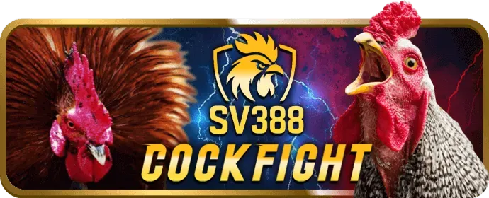 Tỷ lệ cược cạnh tranh và hấp dẫn tại hm88bet